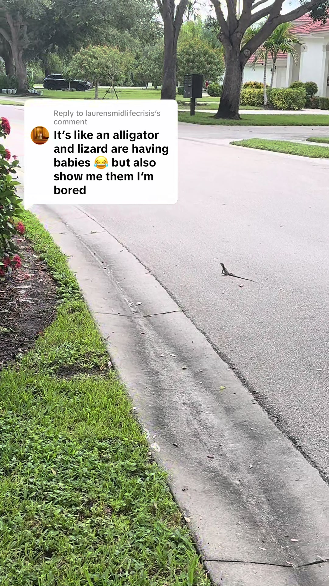 @El