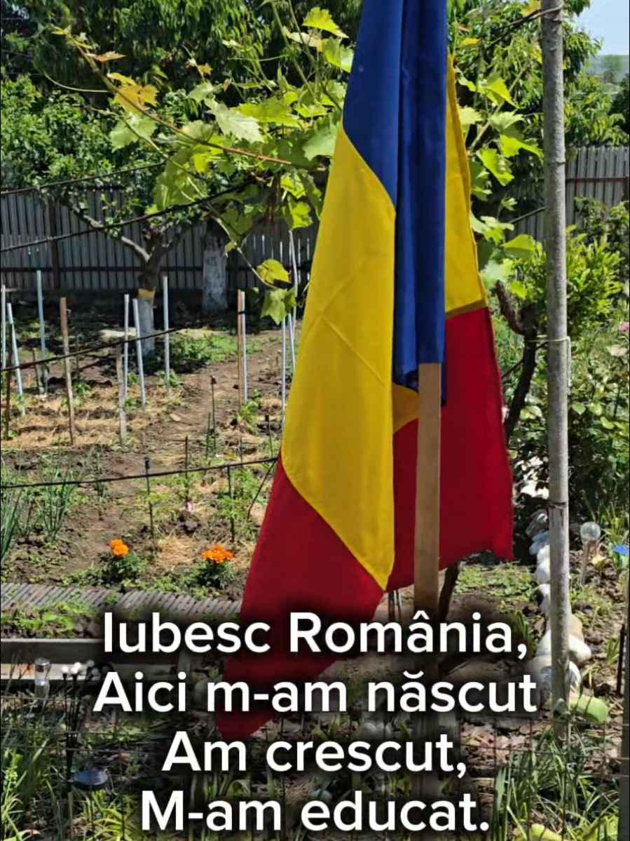 @Adrian(Micuțul)Moraru
