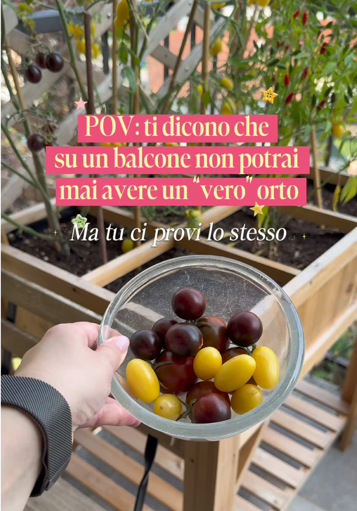 @Dora Delton | Piante & DIY