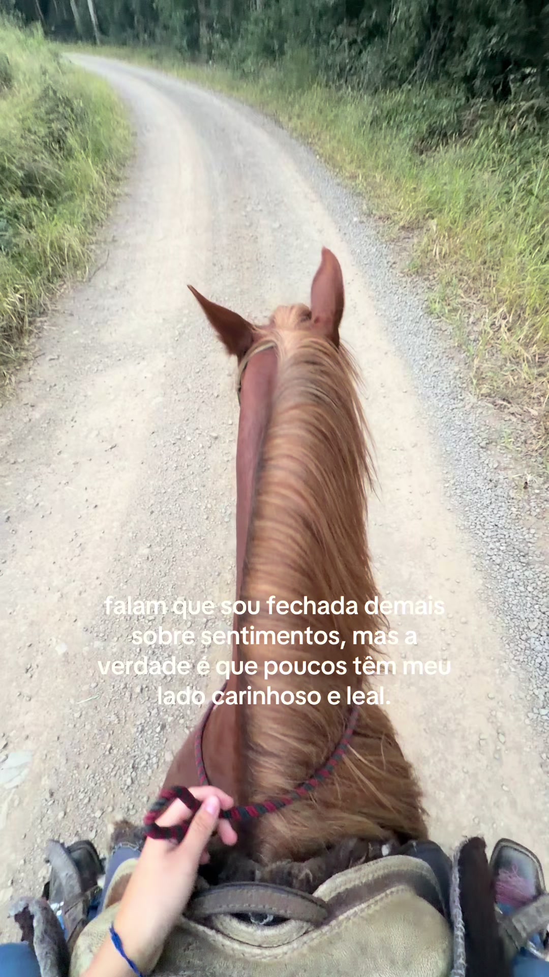 @yasmim_brgs8