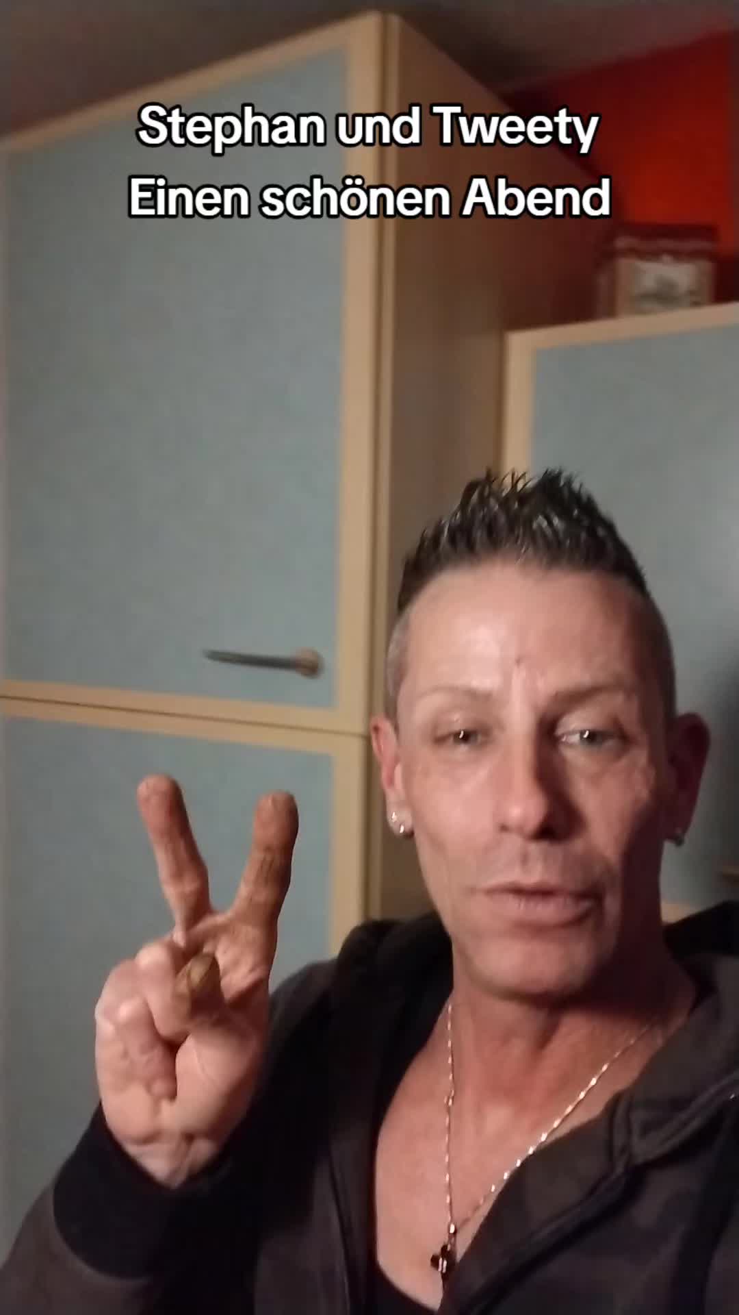 @Stephan Krajczewski