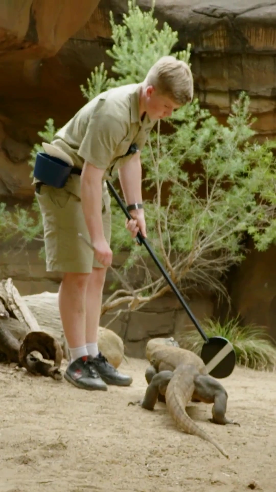 @Animal Planet