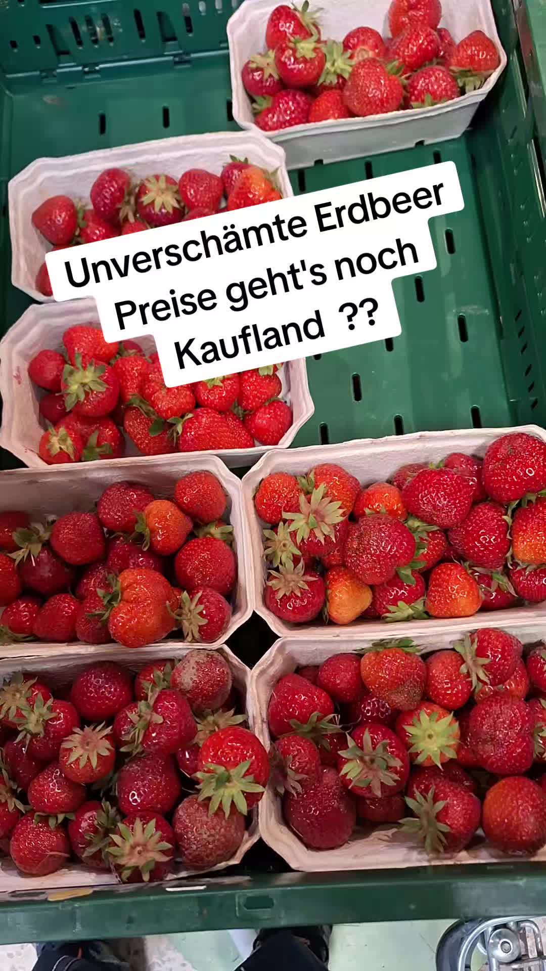 @🇩🇪Powermeinung🕊
