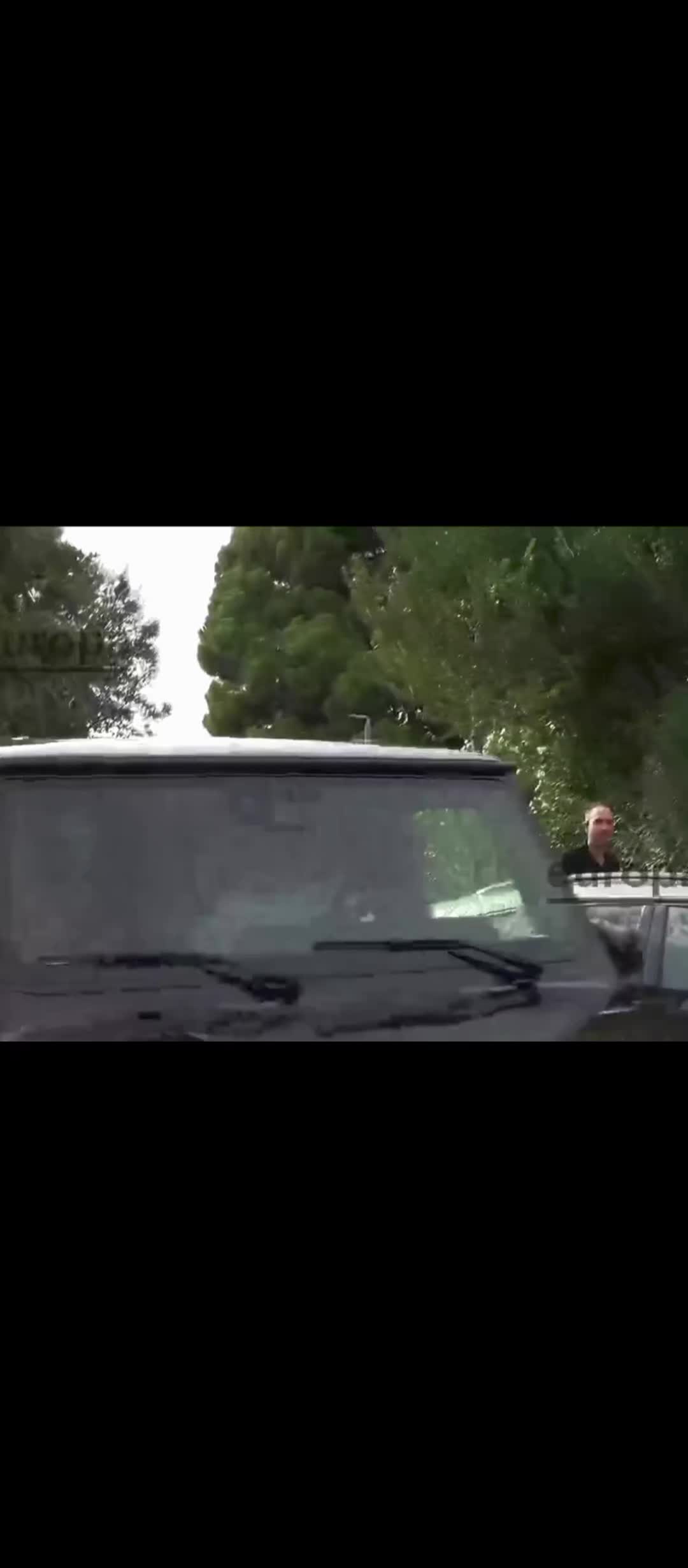 @ana pelayo