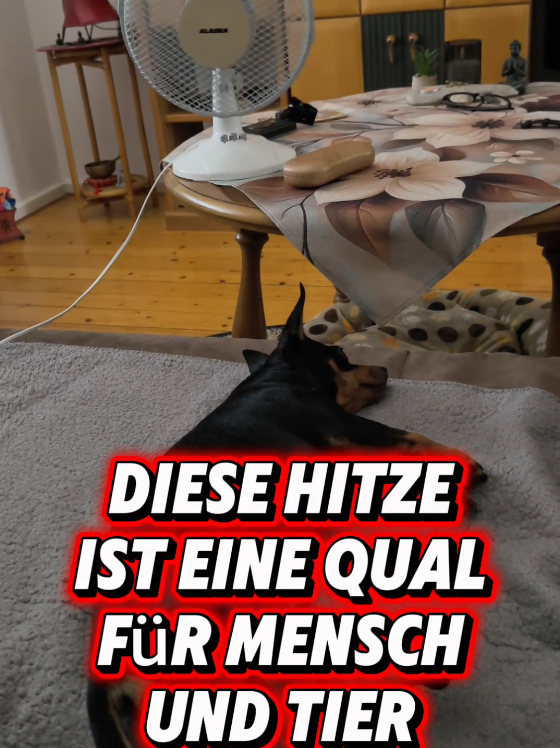 @ICH BIN'S