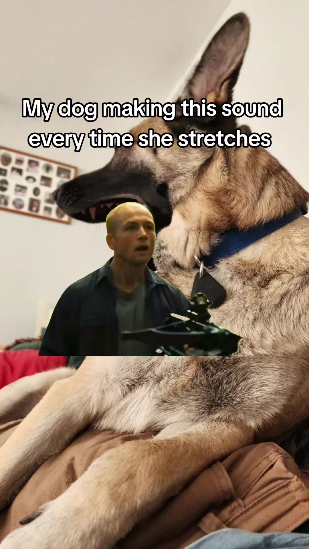 @CrazyKidSteff
