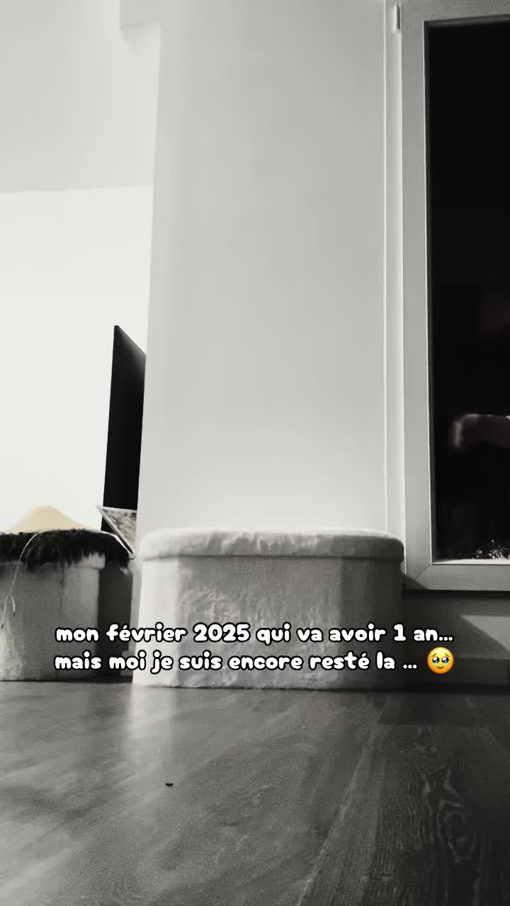 @celya