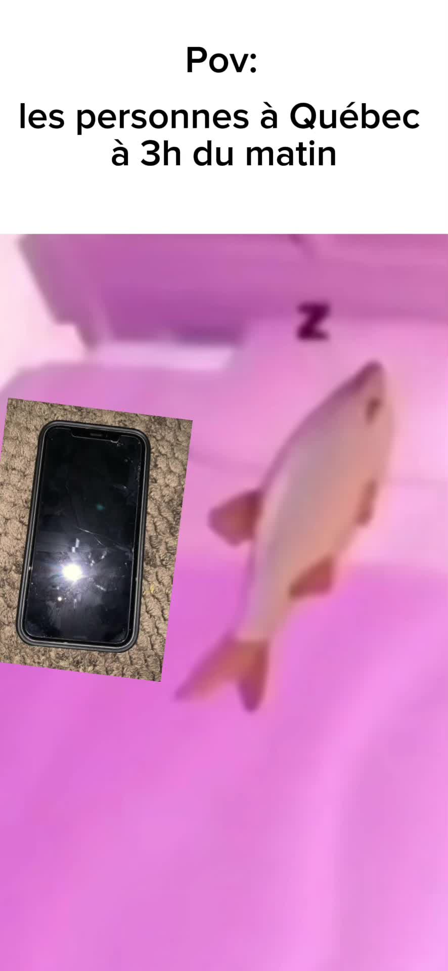 @𝔏