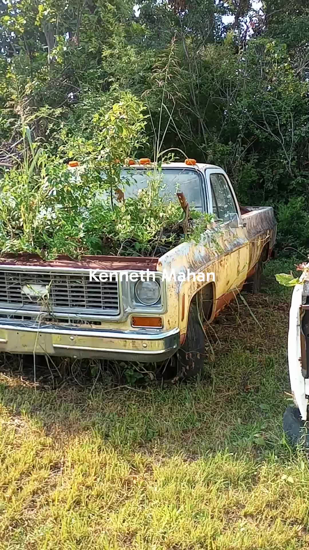 @kennethmahan822
