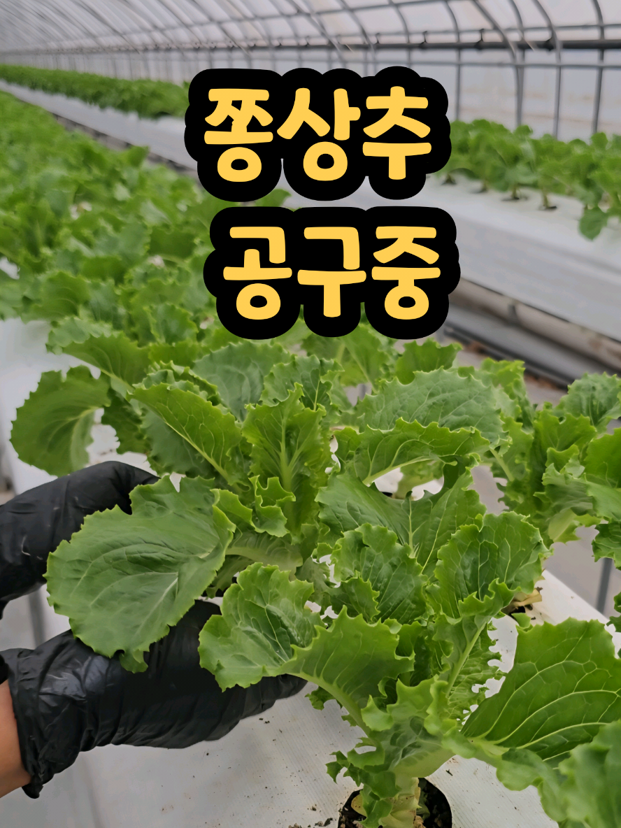 @나미제이