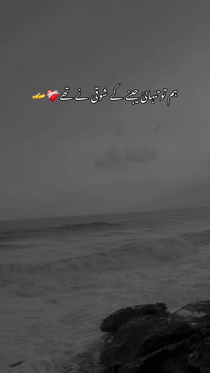 @💞حافظ ضیاء ٣١٣💞