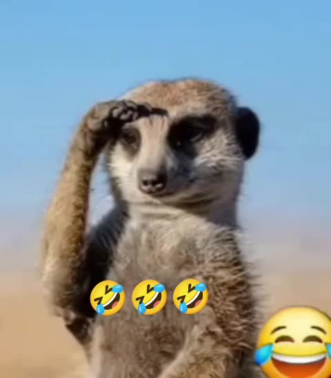 @๐
บ ๐
ฐ ๐
ณ ๐
พ ๐
ผ