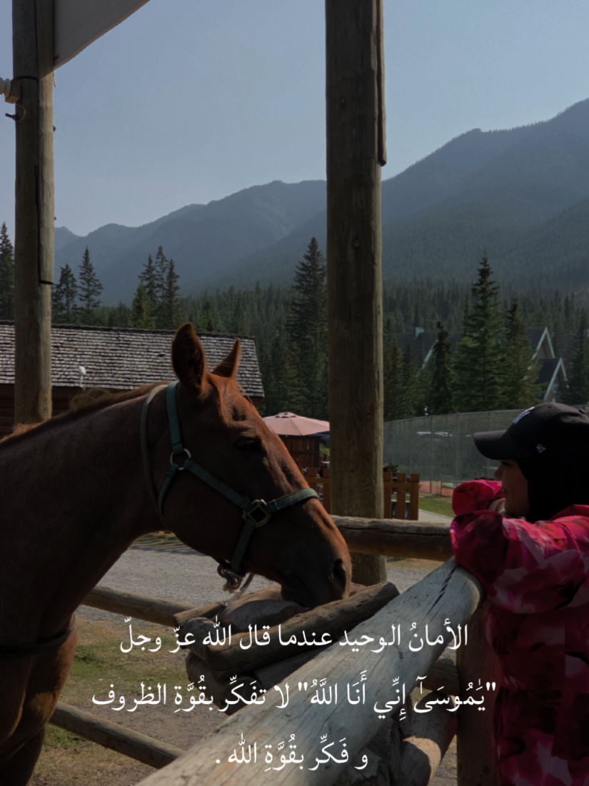 @Angel مَلَاك