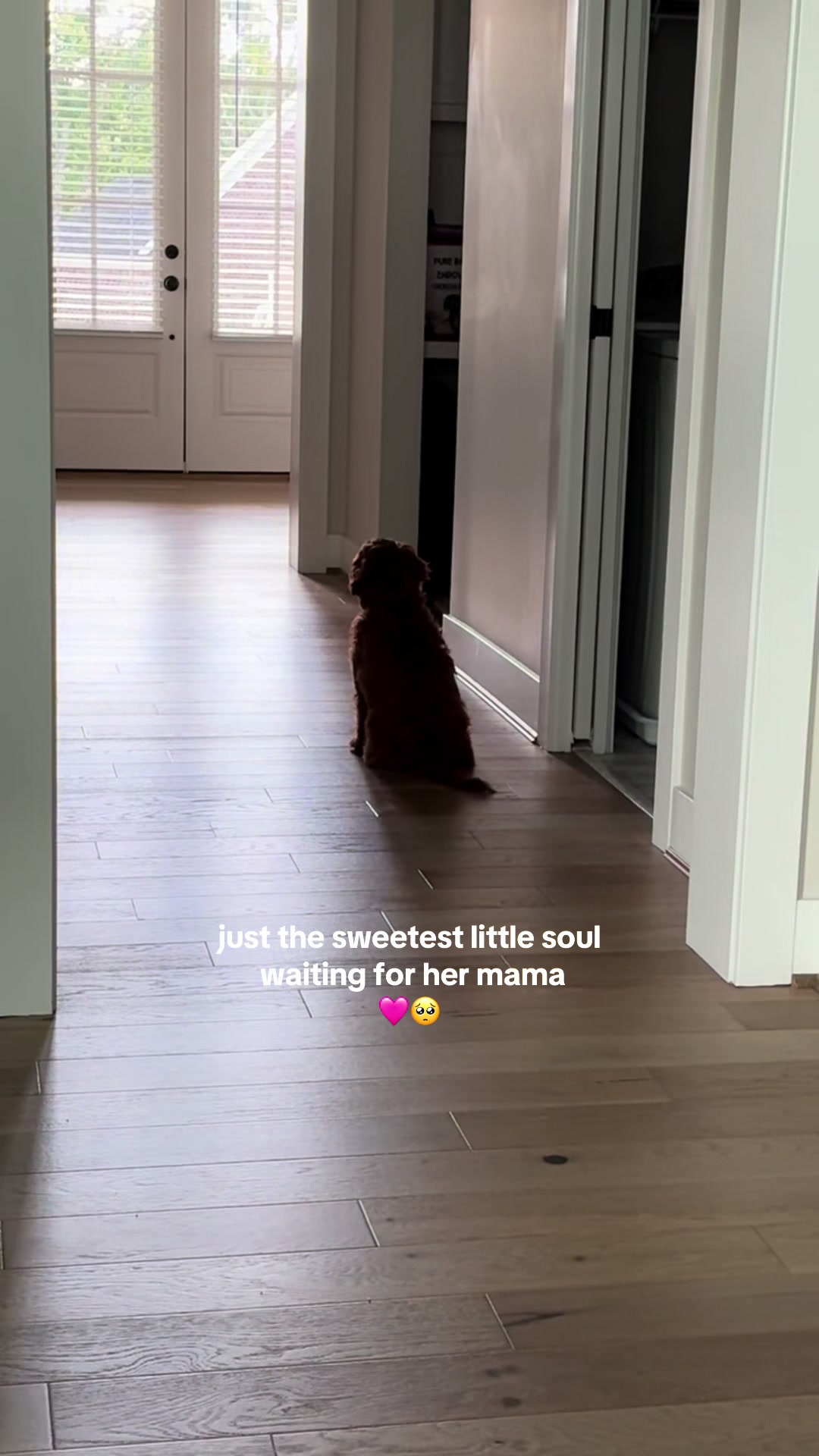 @LittleMissBella