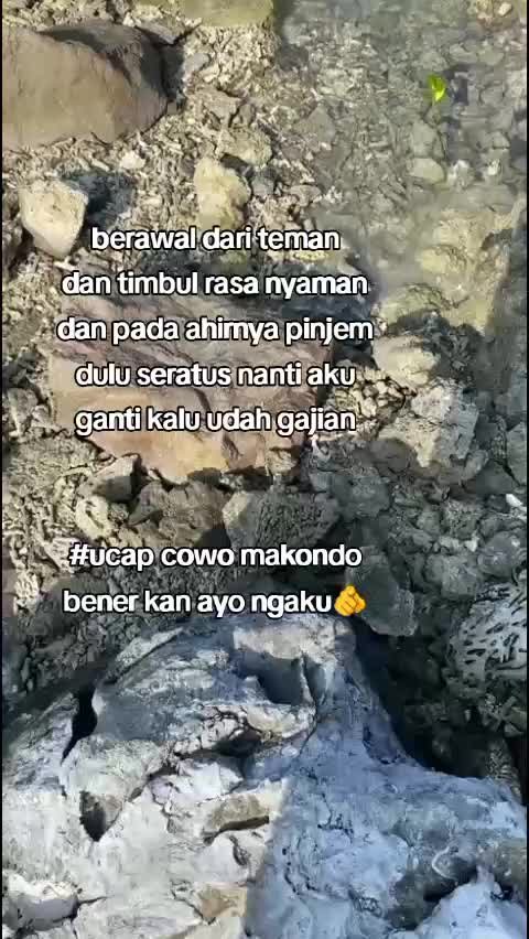 @sopy kayla🇮🇩🇸🇦