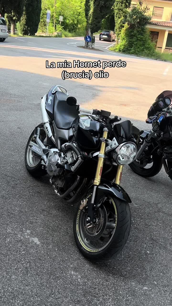 @Lori.vtec