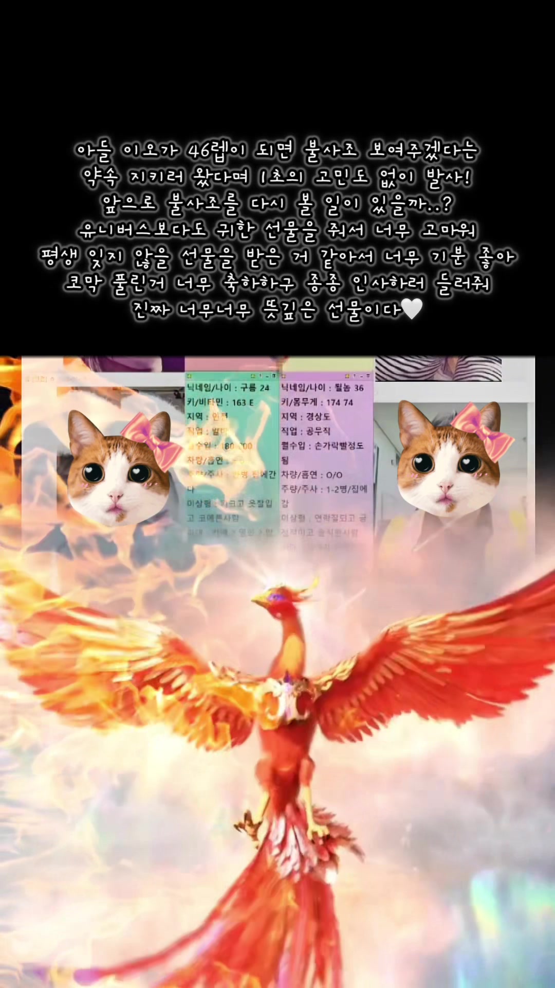 @๐ธ ๊ณต์นด์ด