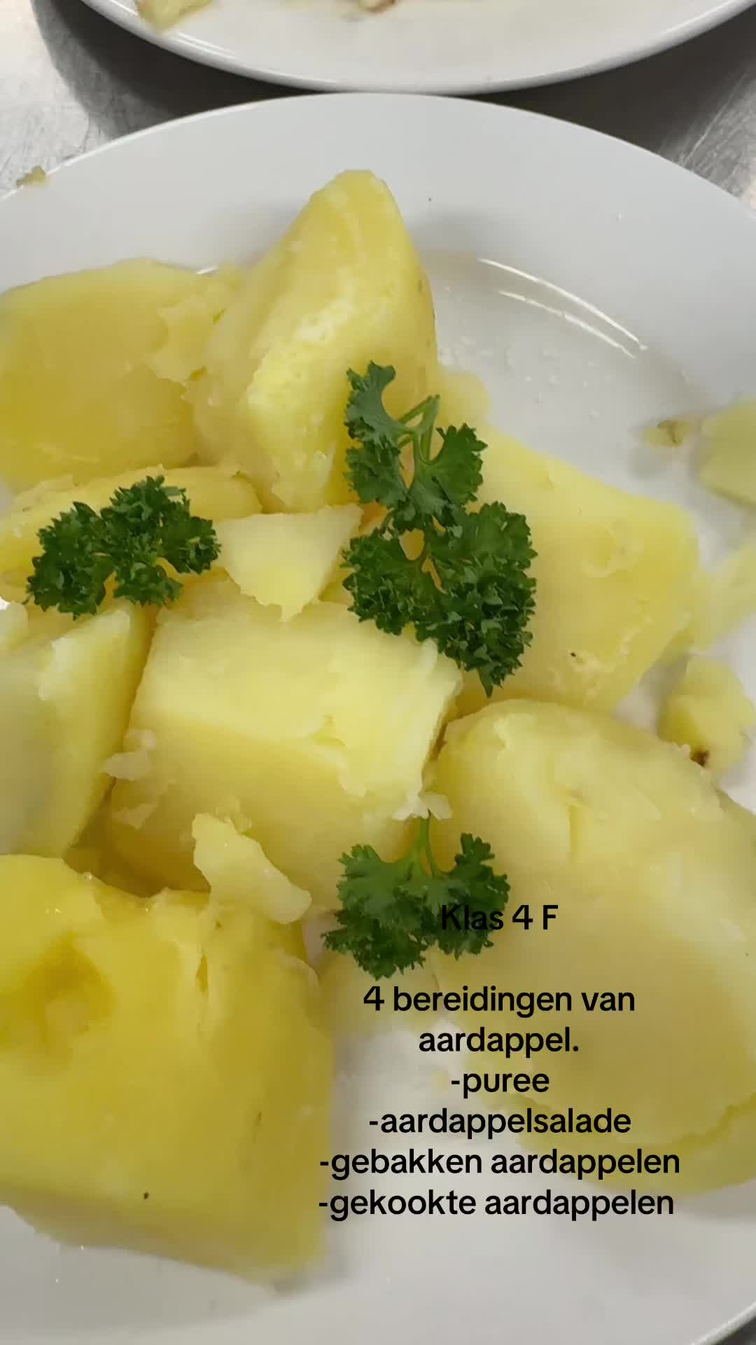 @Bakken met meneer Bronsema