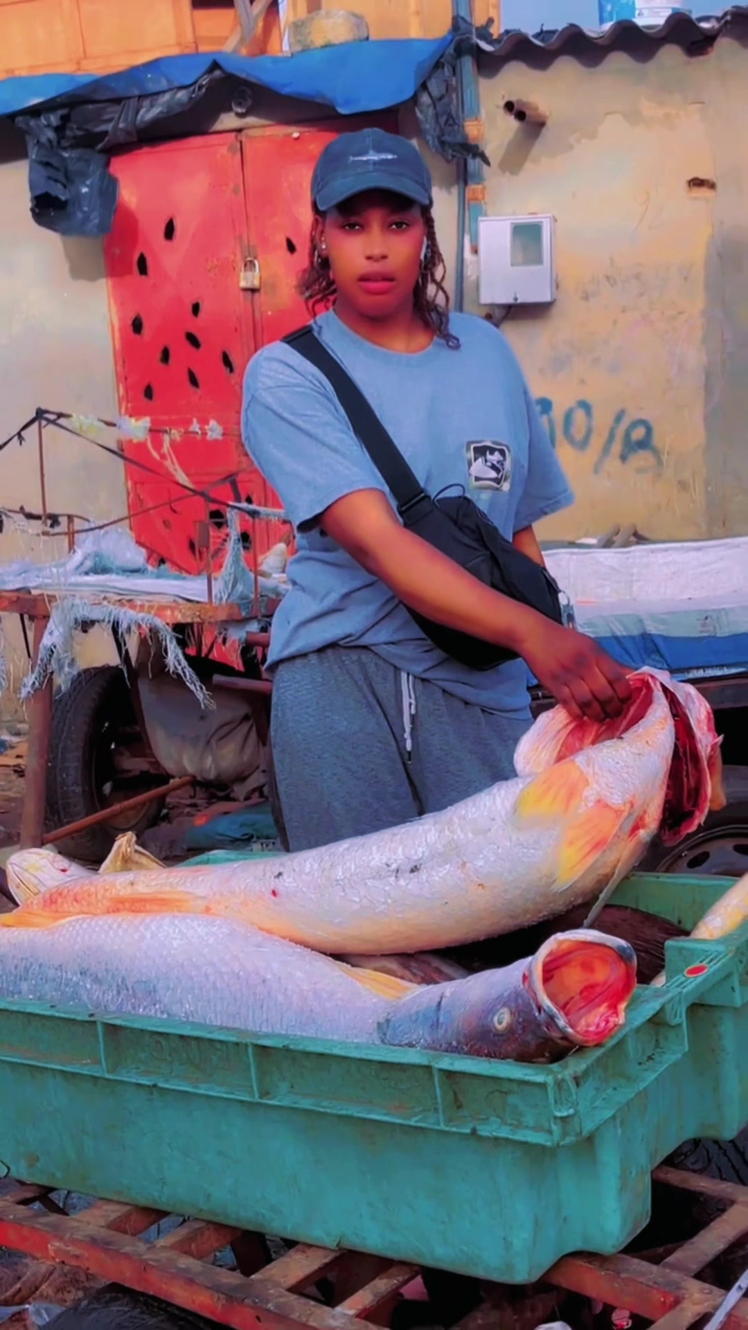 @Mounass poisson