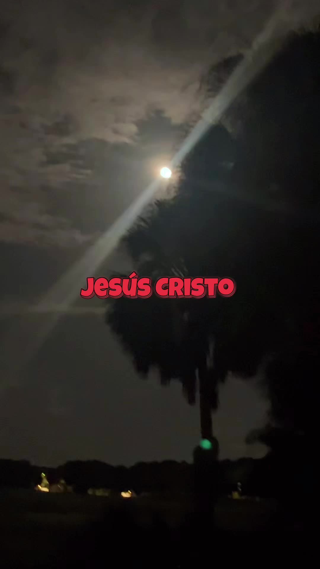 @masterzapata7dan