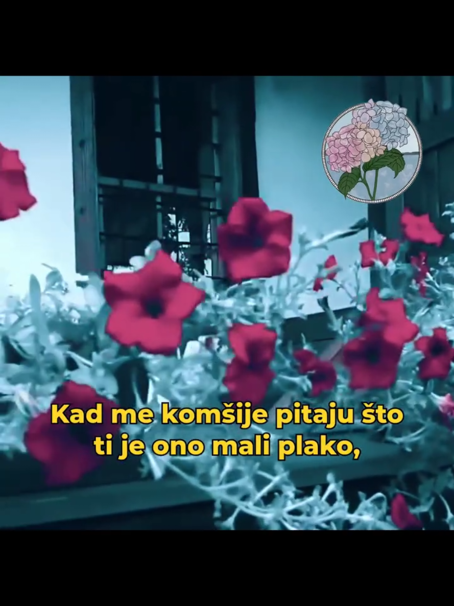 @Hadžibeg