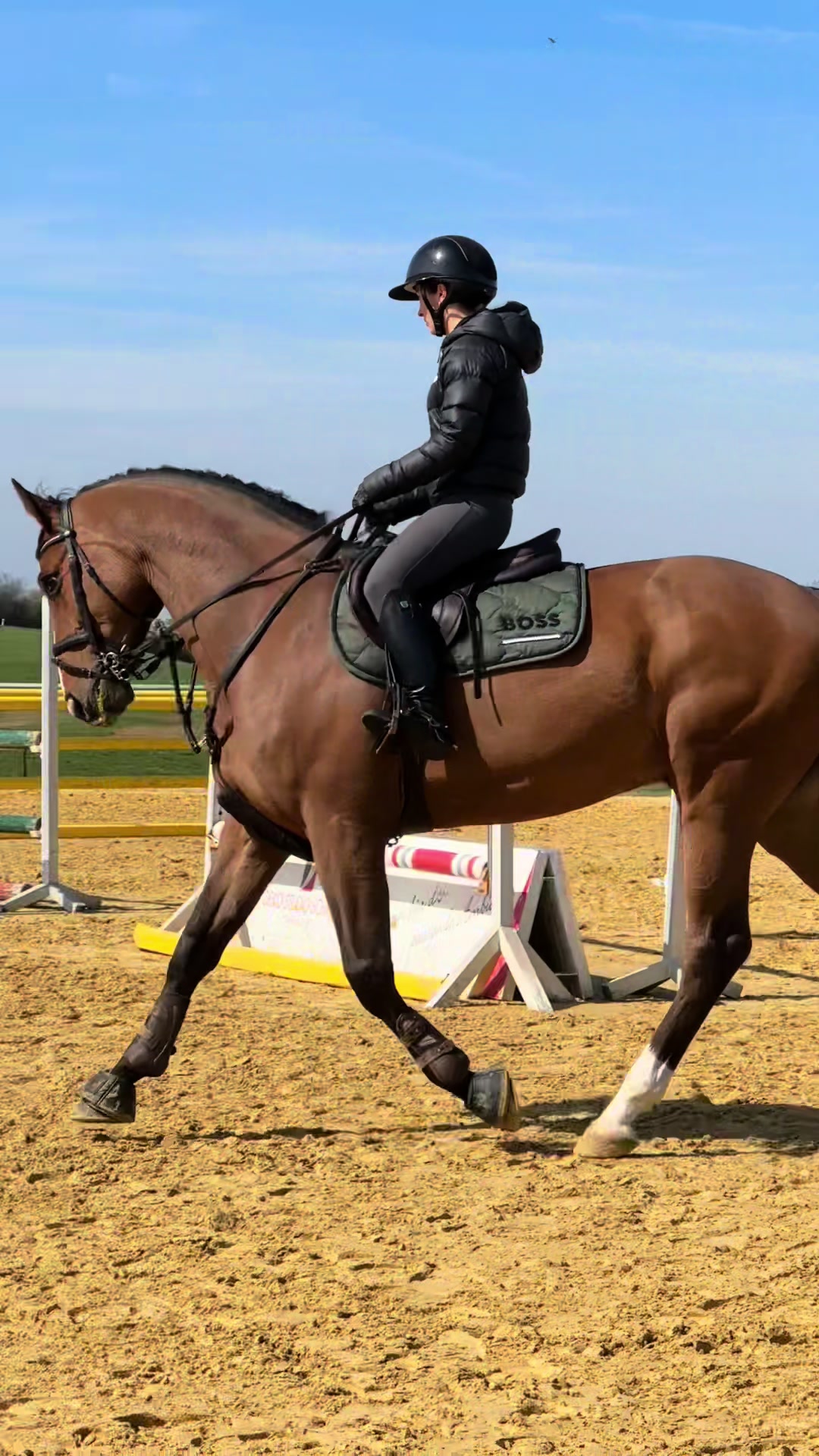 @La.Dolce.Horses