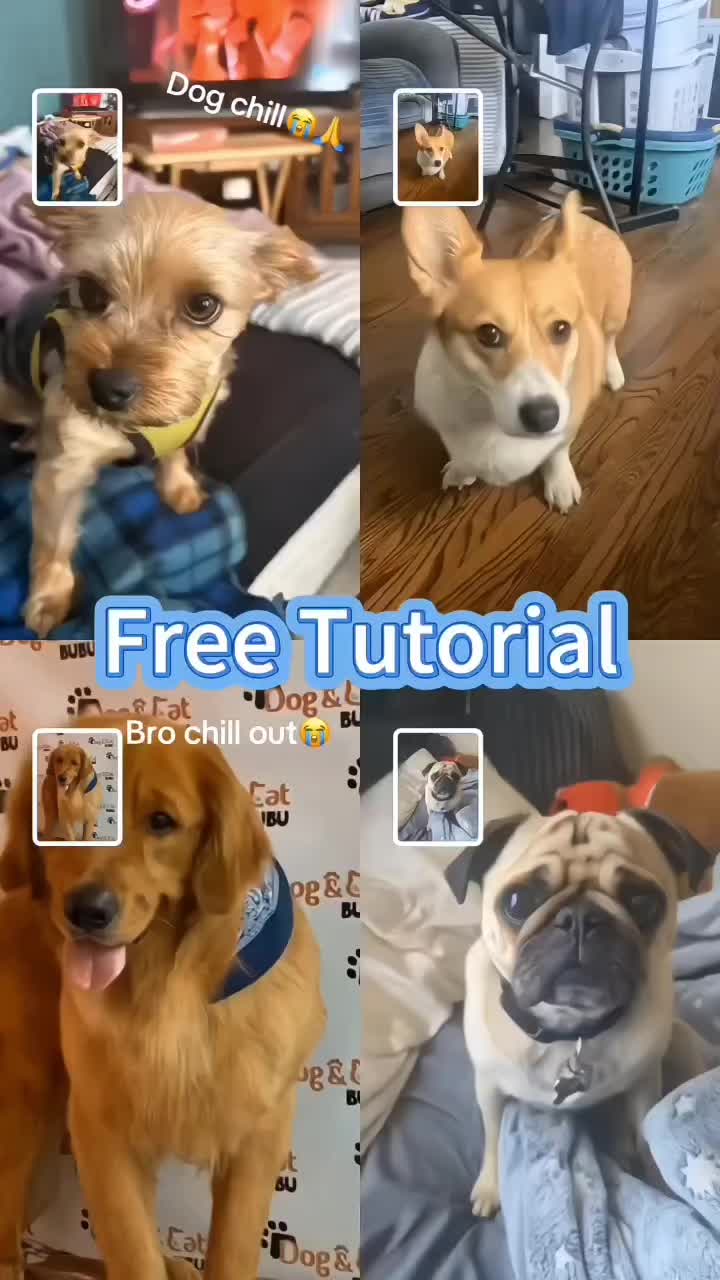 @xbus2604103036