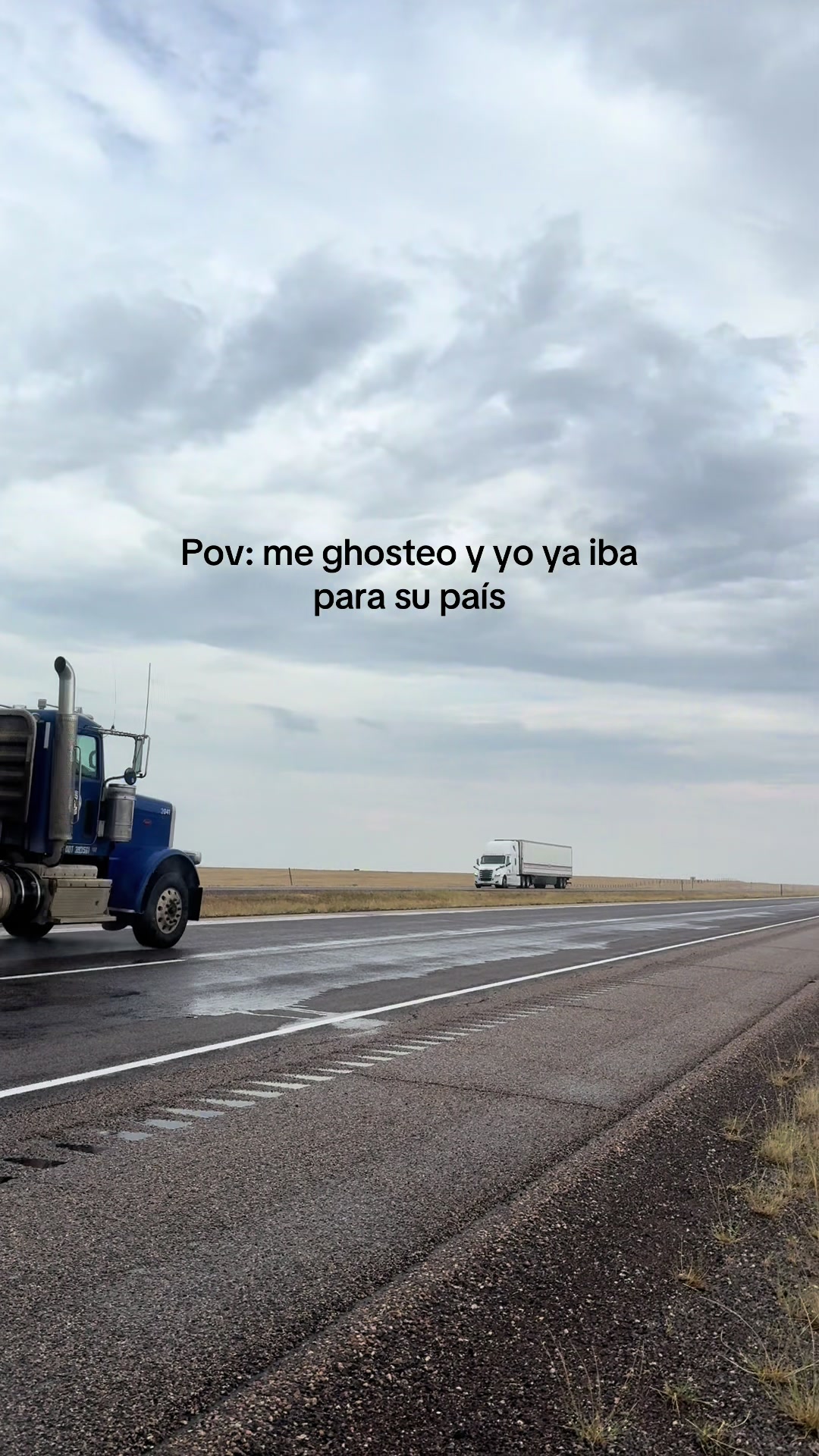 @giavibees