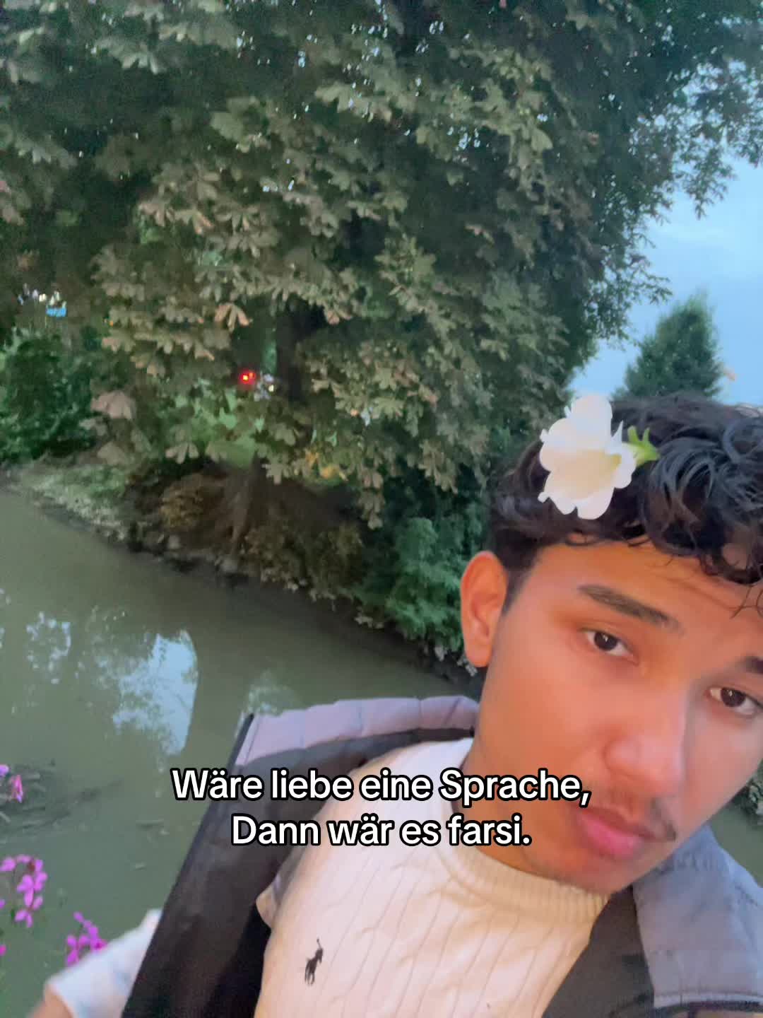 @mashif.offiziell