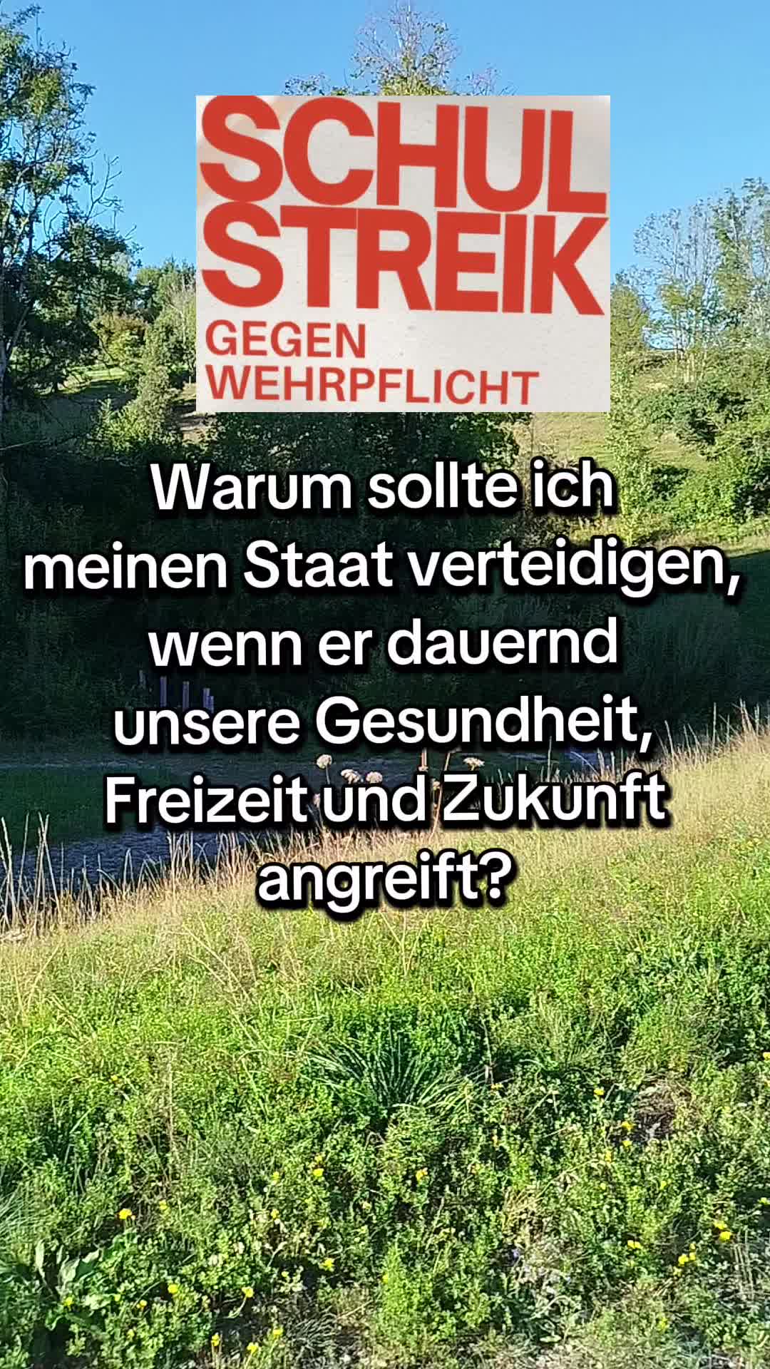 @Die Linke Lindau