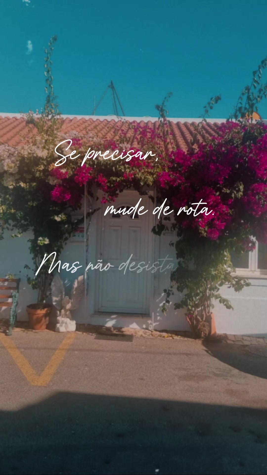 @Núbia Ferreira - Mentorship