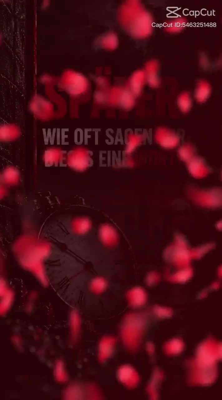 @𝔐𝔞𝔫𝔱𝔞 𝔐𝔦𝔠𝔥𝔦