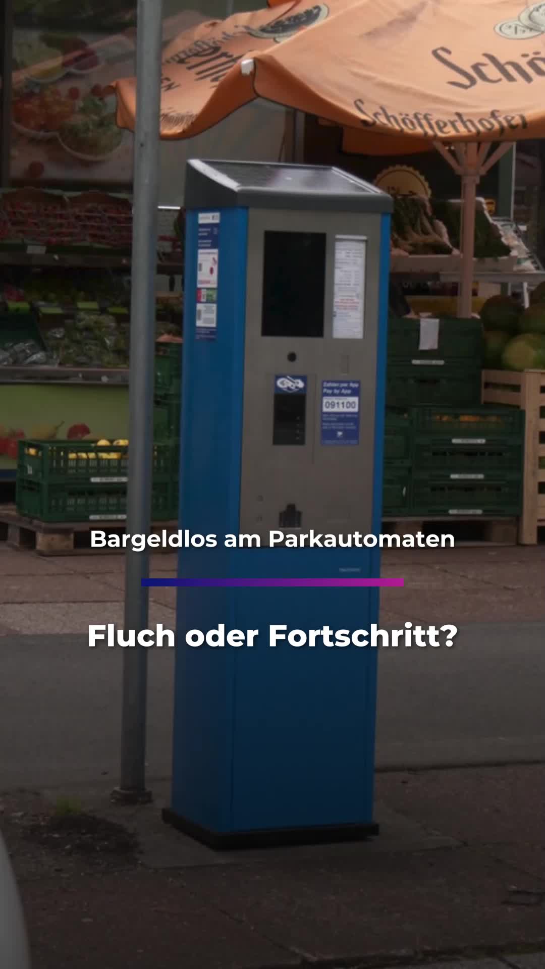 @Sachsen Fernsehen