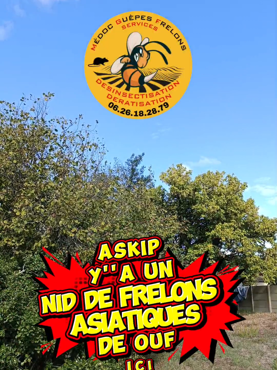 @Médoc Guêpes Frelons Services