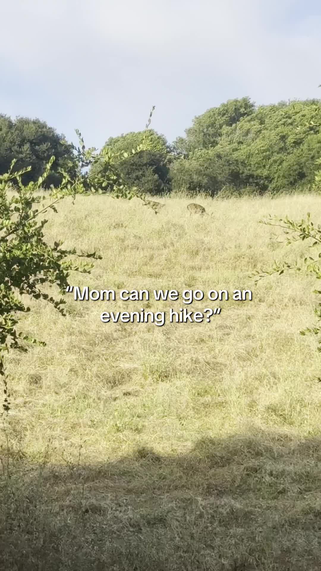 @Laura