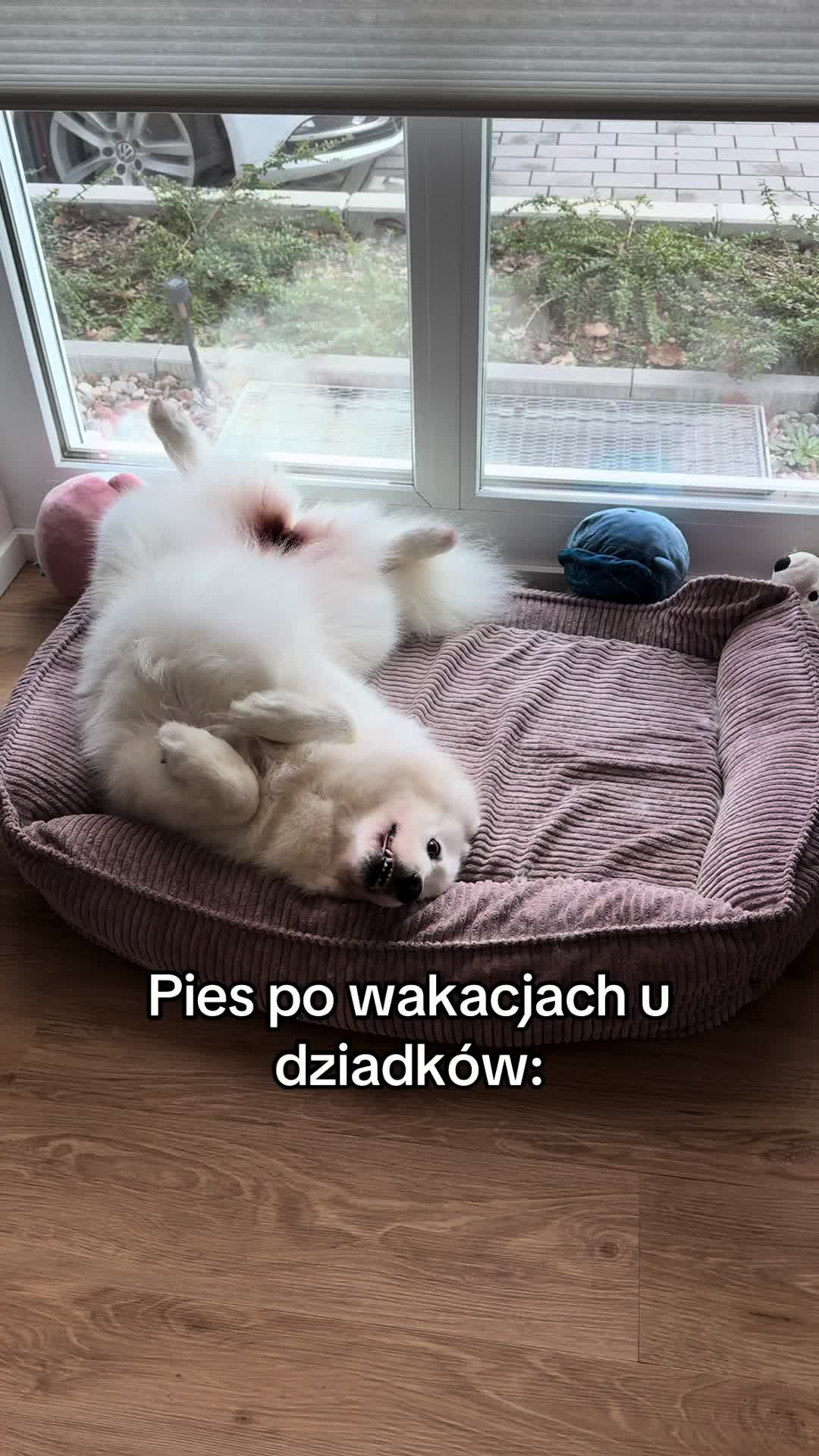 @Lexi