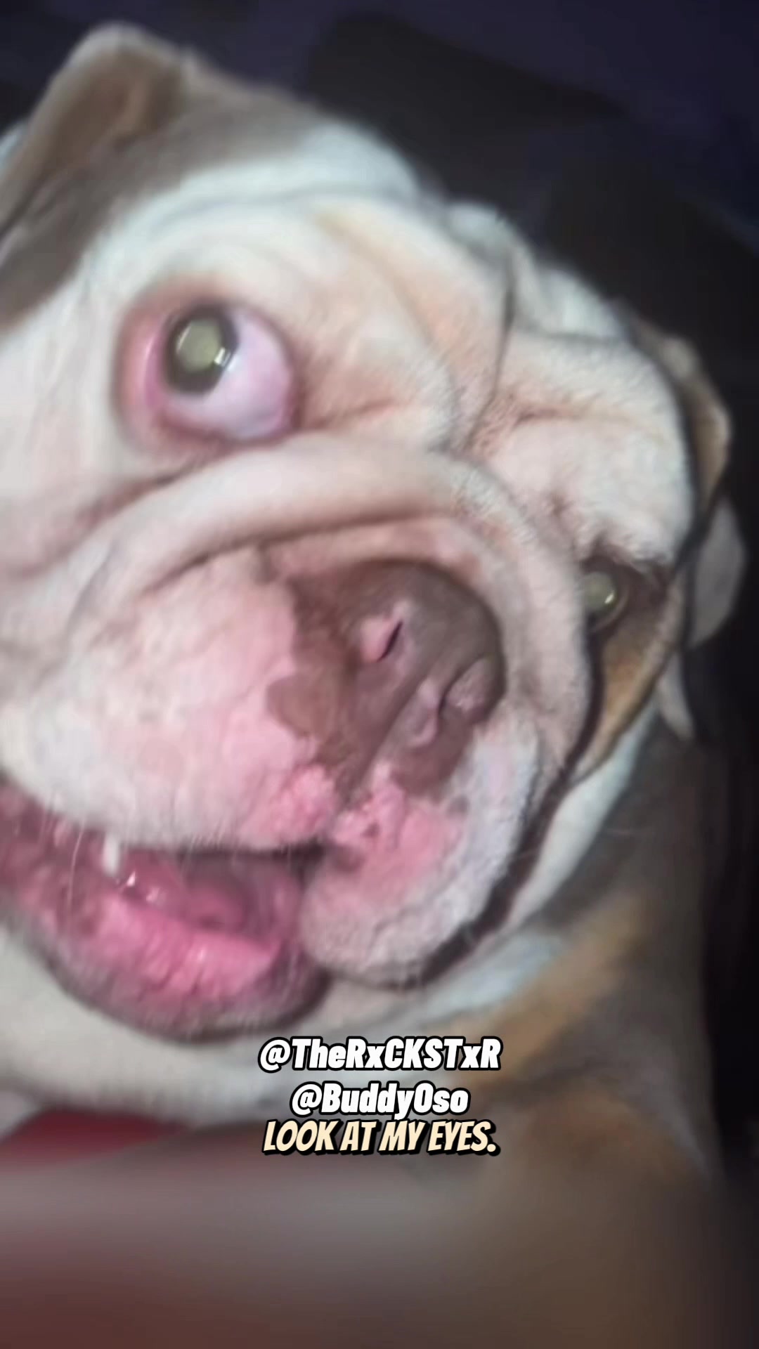 @RxCKSTxR