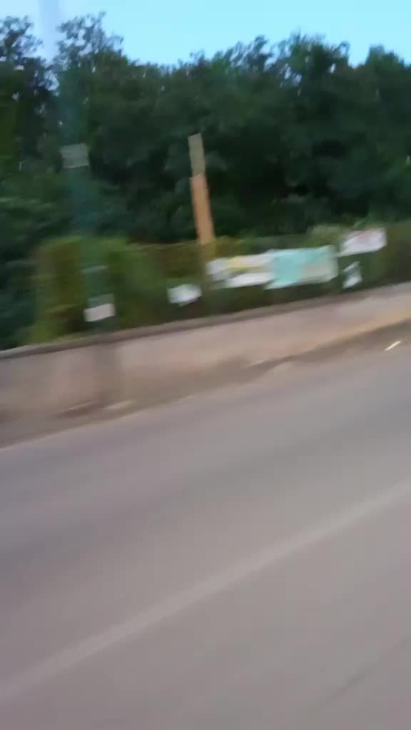 @mariachirichella211069