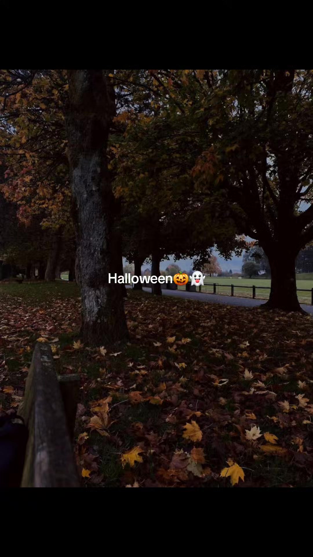 @FrightToFestive