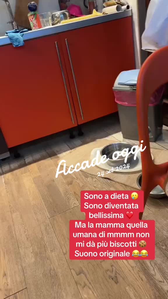 @Gra_Lagra_👑
