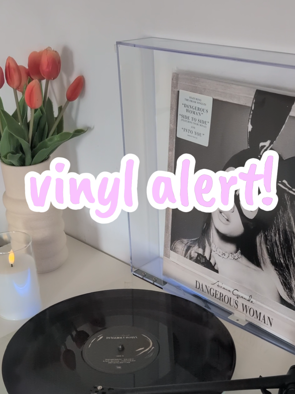 @Chrissy || Vinyl Collector 🎶✨