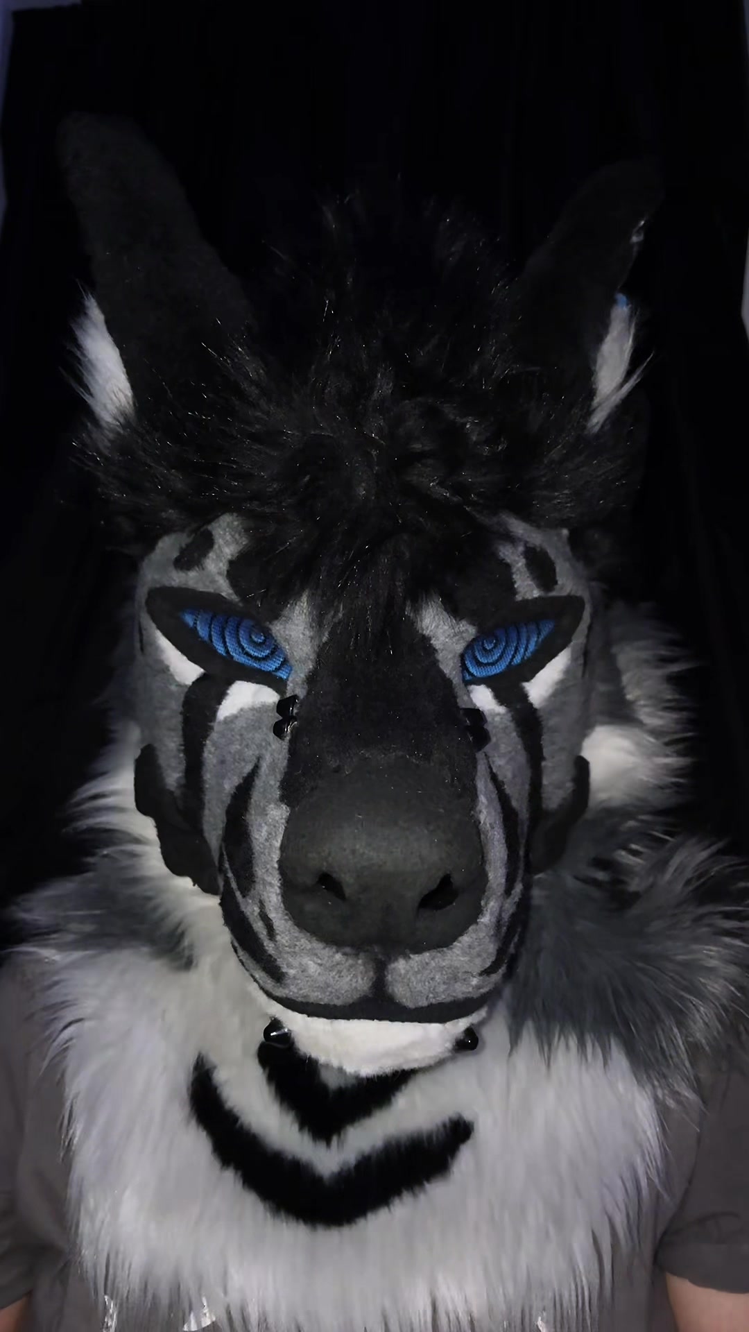 @sonar_hyena_shark
