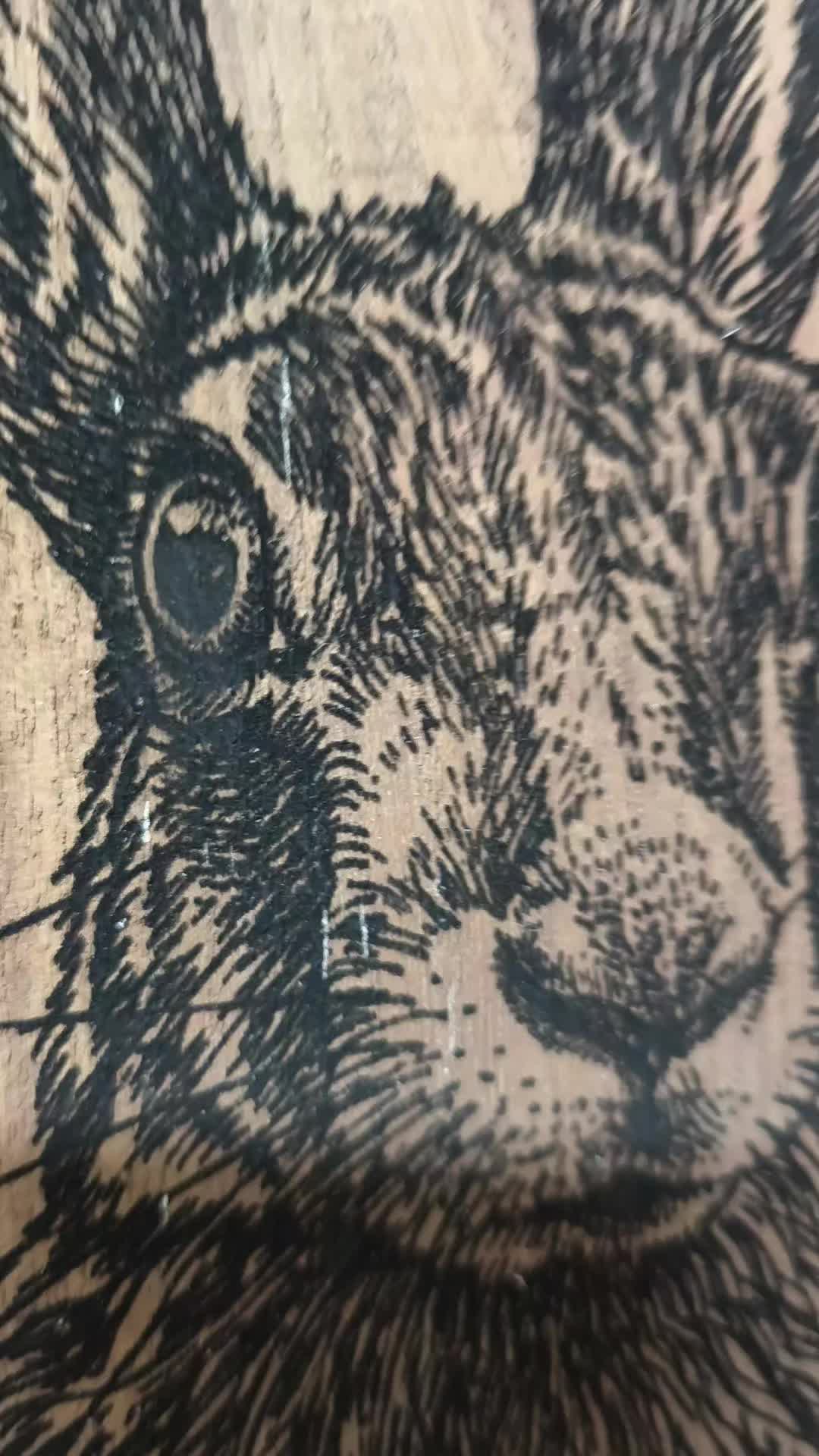 @il cinghiale di tiktok