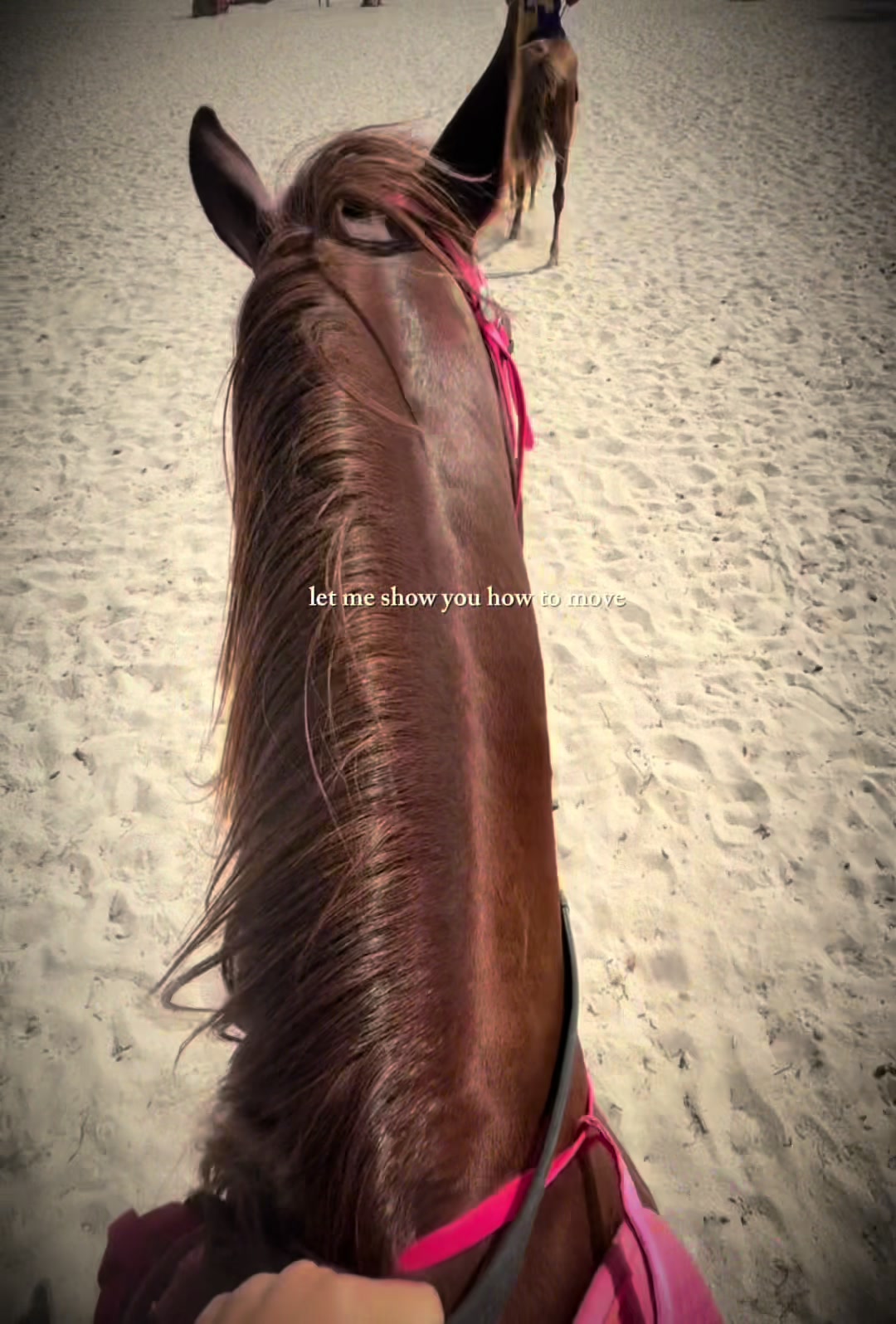 @🇪🇸Kayah☆🇵🇱/🇺🇸