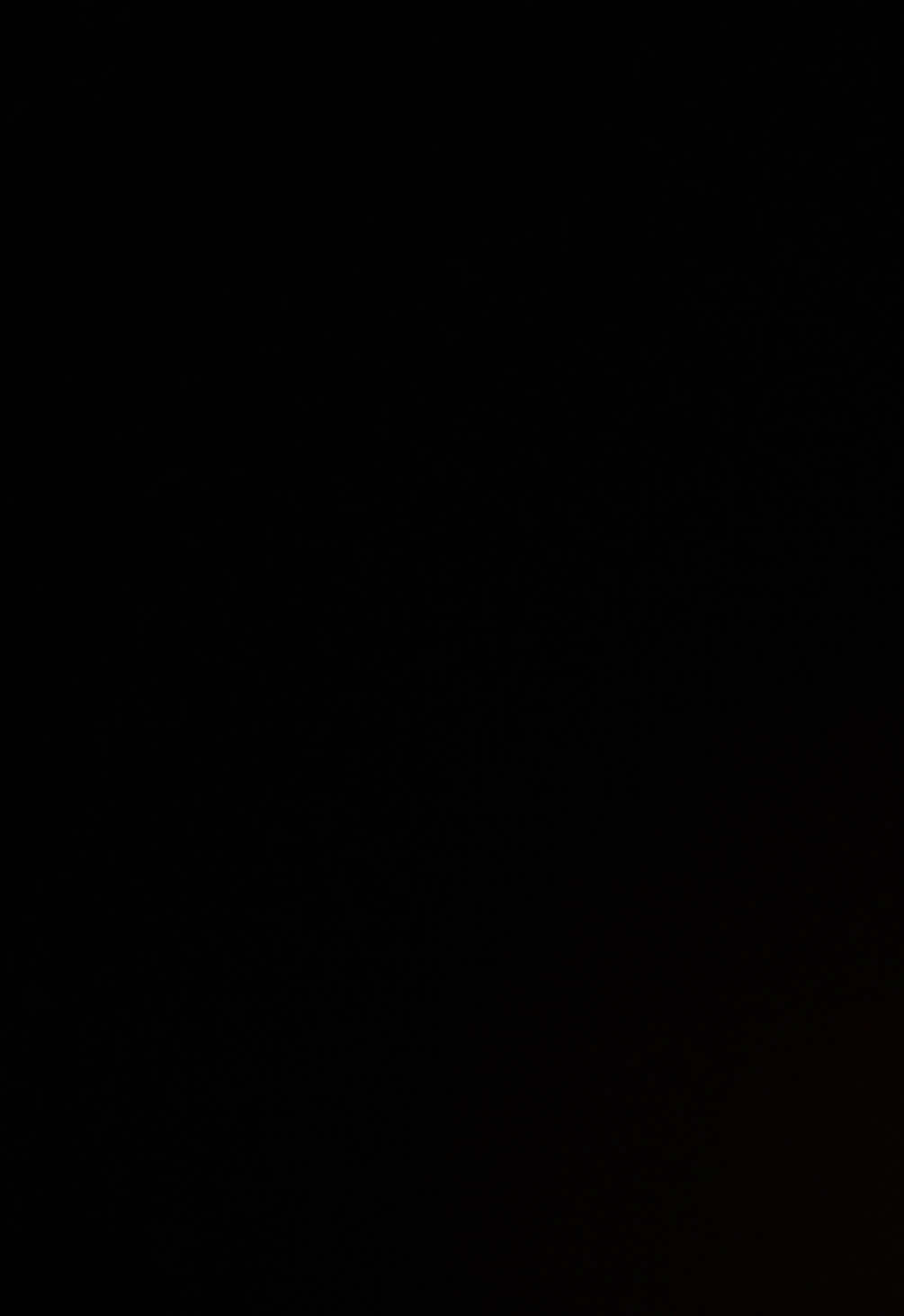 @ɹɹᴉɐlƆ¹⁶