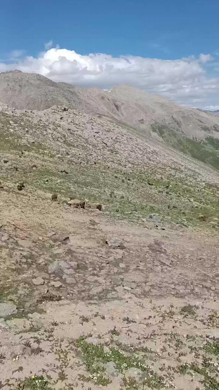 @ауыл баласы
