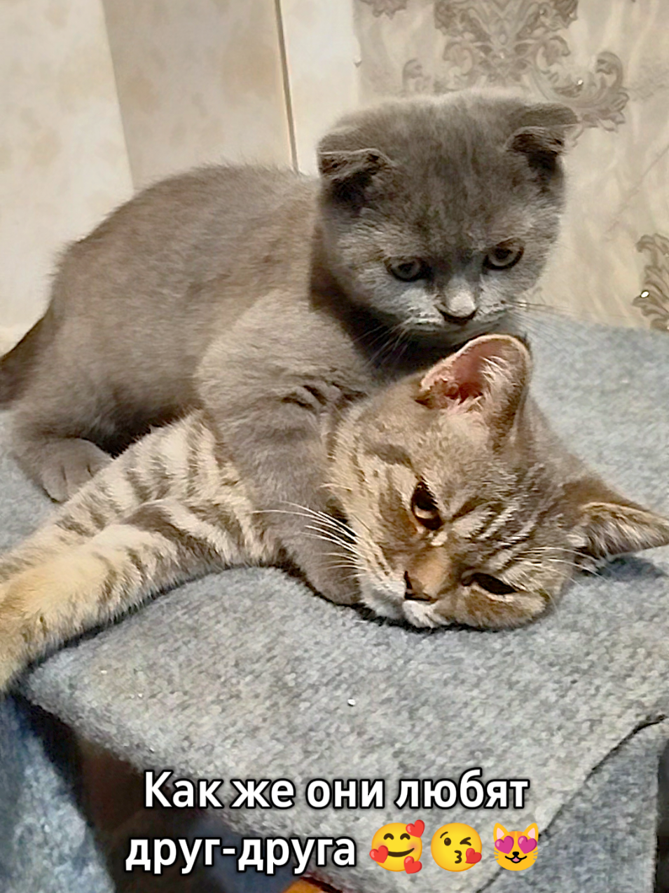@😻Риччи&Джесси🐈Масик👼&Андрей