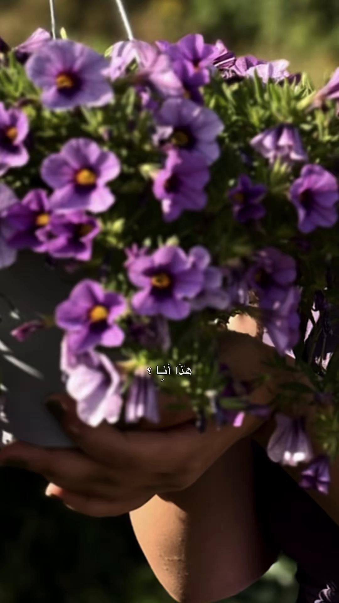@ɴᴇʀᴠɪɴ|🫀