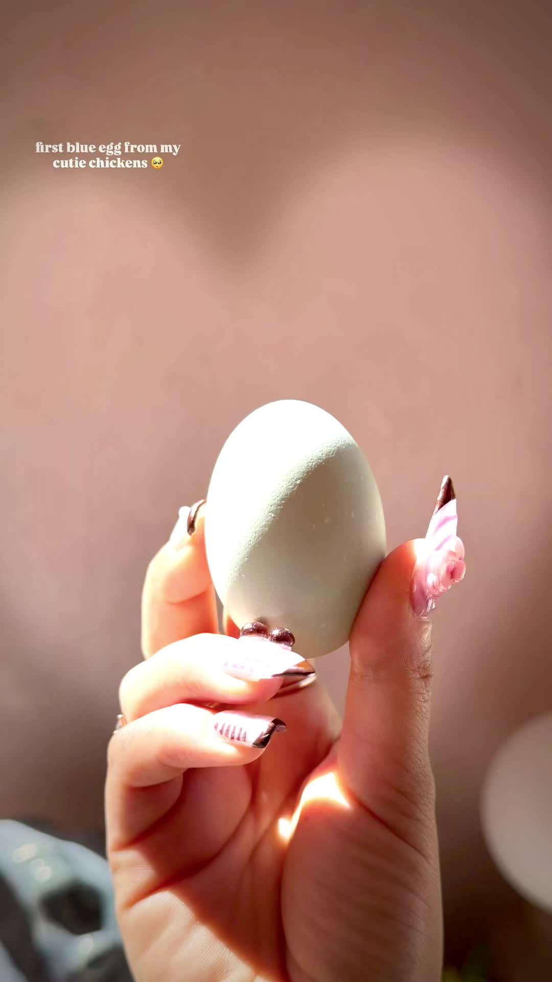 @𝓗𝓪𝓿𝓮𝓷
