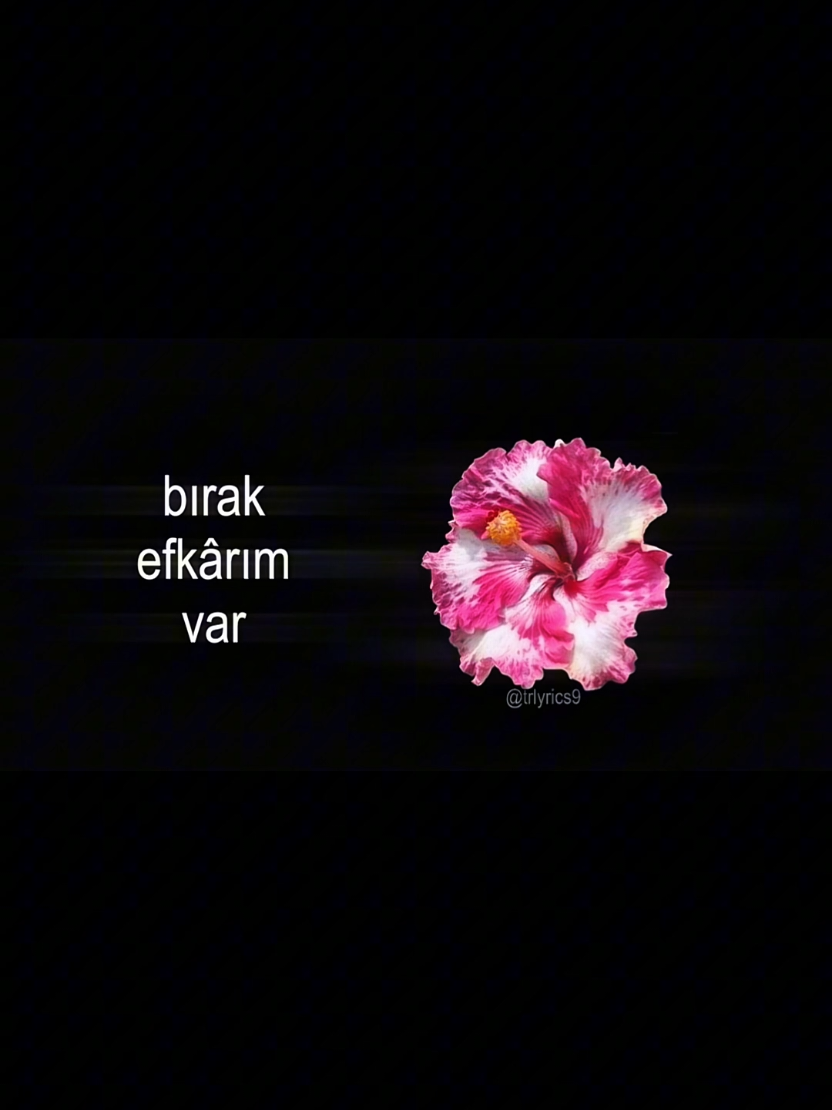 @𝙏𝙍>𝙡𝙮𝙧𝙞𝙘𝙨
